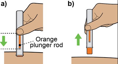 13_finishing Injection_orange Plunger Rod.jpg (13 Finishing Injection Orange Plunger Rod)
